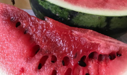 51cg8吃瓜爆料,揭秘娱乐圈最新吃瓜事件